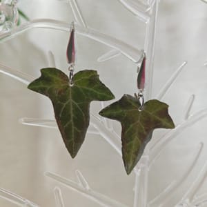 Cercei Iedera - Thumbnail 2